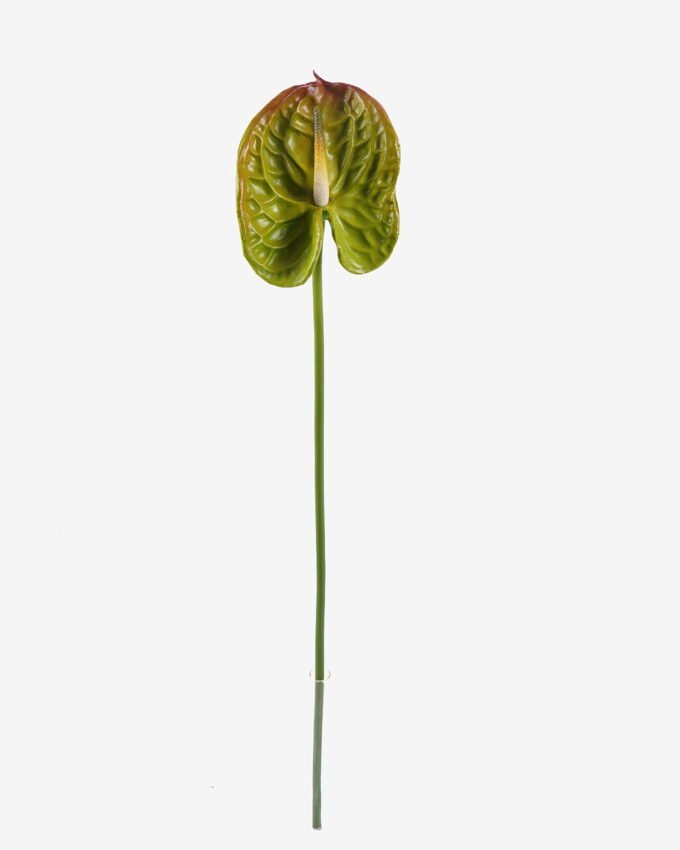 Artificial Flower Flamingo flower single stem GS-50525051_5 Artificial Flower 12*68cm Flamingo flower single stem GS-50525051 2025Oct YeahFlower is one of Chinese leading OEM manufacturers and exporters , supplying the silk flowers, wholesale artificial trees