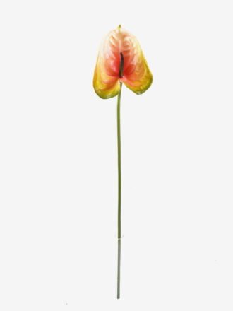Artificial Flower 12*60cm Flamingo flower single stem GS-50525052 2025Oct 3,000+ sqm showroom with thousands of artificial flowers, plants & trees ready for global sourcing.