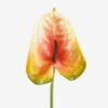 Artificial Flower 12*60cm Flamingo flower single stem GS-50525052-C1 2025Oct YeahFlower is one of Chinese leading OEM manufacturers and exporters , supplying the silk flowers, wholesale artificial trees