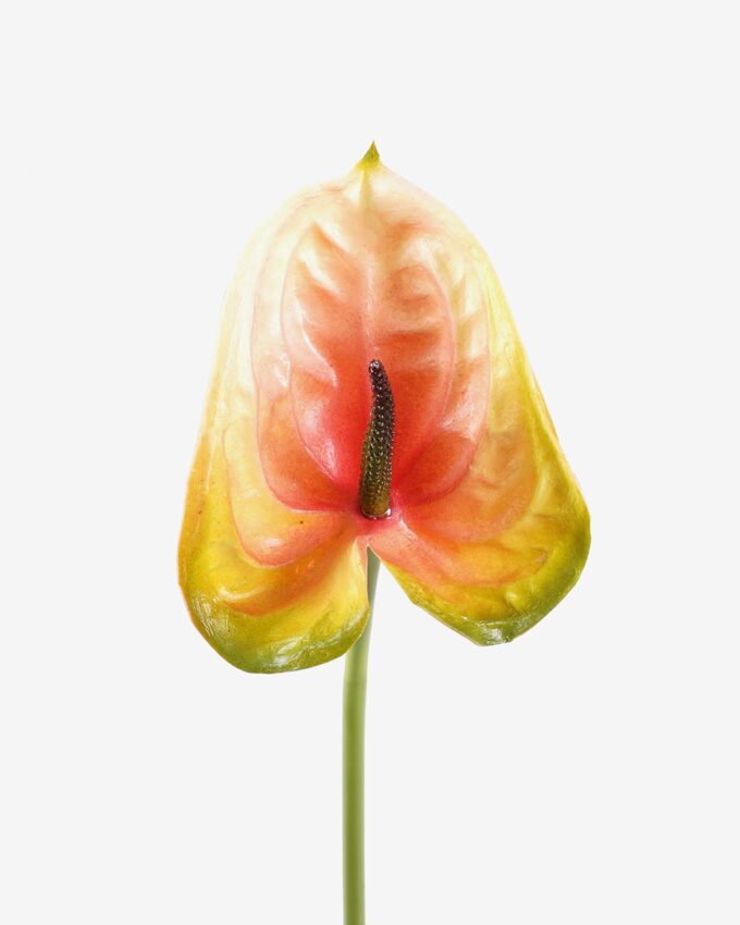 Artificial Flower 12*60cm Flamingo flower single stem GS-50525052-C1 2025Oct YeahFlower is one of Chinese leading OEM manufacturers and exporters , supplying the silk flowers, wholesale artificial trees
