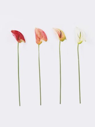 Artificial Flower 12*68cm Flamingo flower single stem GS-50525051-C1 2025Oct 3,000+ sqm showroom with thousands of artificial flowers, plants & trees ready for global sourcing.