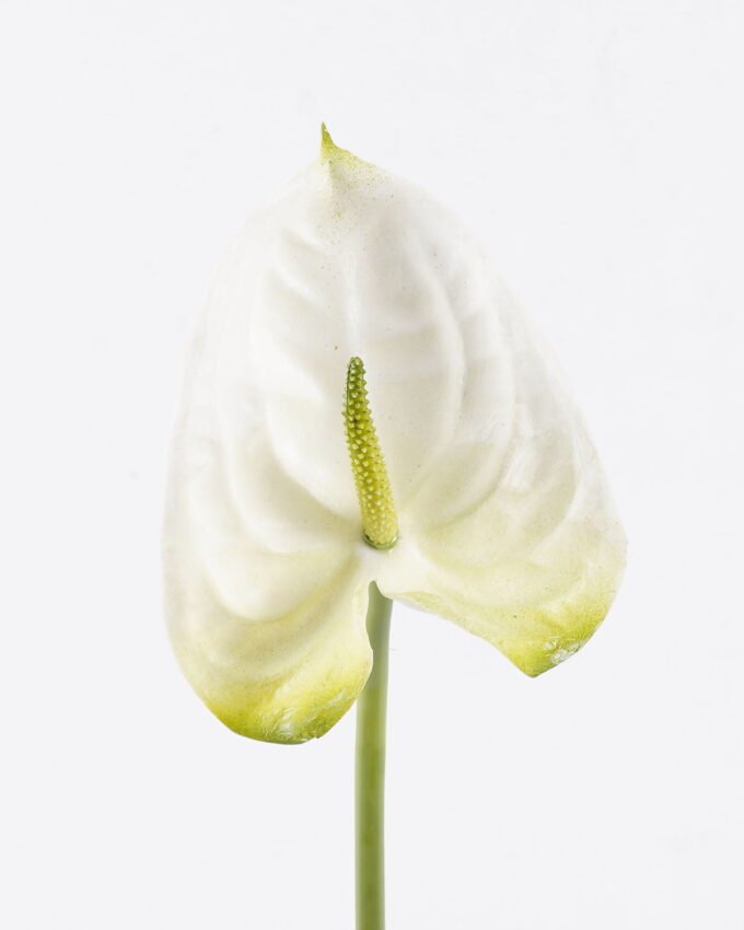 Artificial Flower 12*60cm Flamingo flower single stem GS-50525052 2025Oct YeahFlower is one of Chinese leading OEM manufacturers and exporters , supplying the silk flowers, wholesale artificial trees