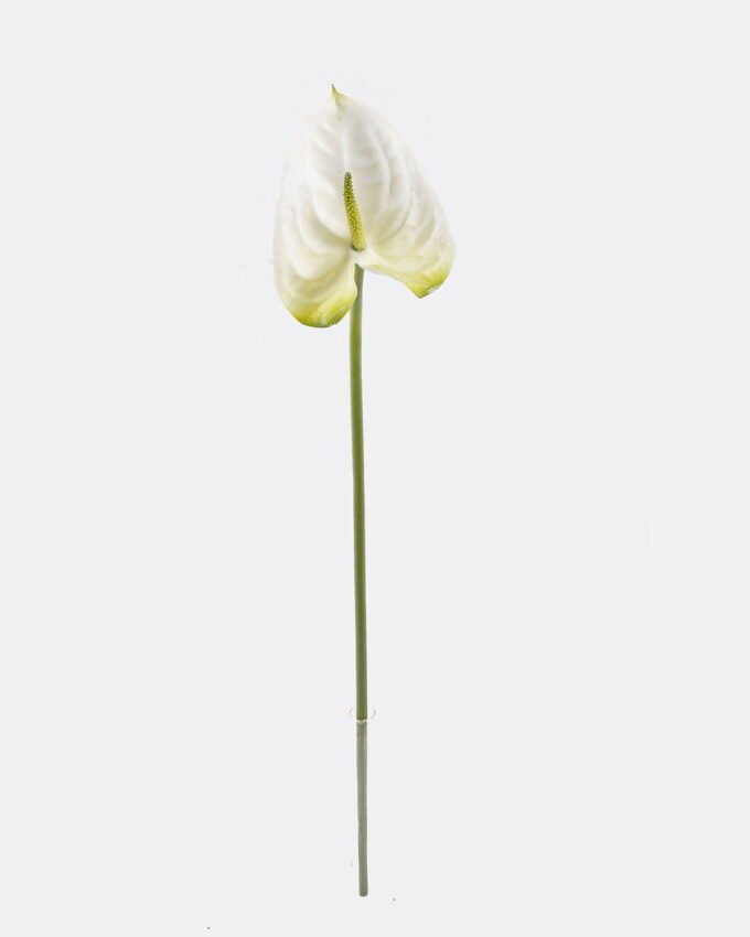 Artificial Flower 12*60cm Flamingo flower single stem GS-50525052 2025Oct YeahFlower is one of Chinese leading OEM manufacturers and exporters , supplying the silk flowers, wholesale artificial trees