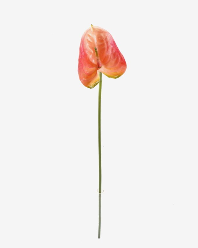 Artificial Flower 12*60cm Flamingo flower single stem GS-50525052 2025Oct YeahFlower is one of Chinese leading OEM manufacturers and exporters , supplying the silk flowers, wholesale artificial trees