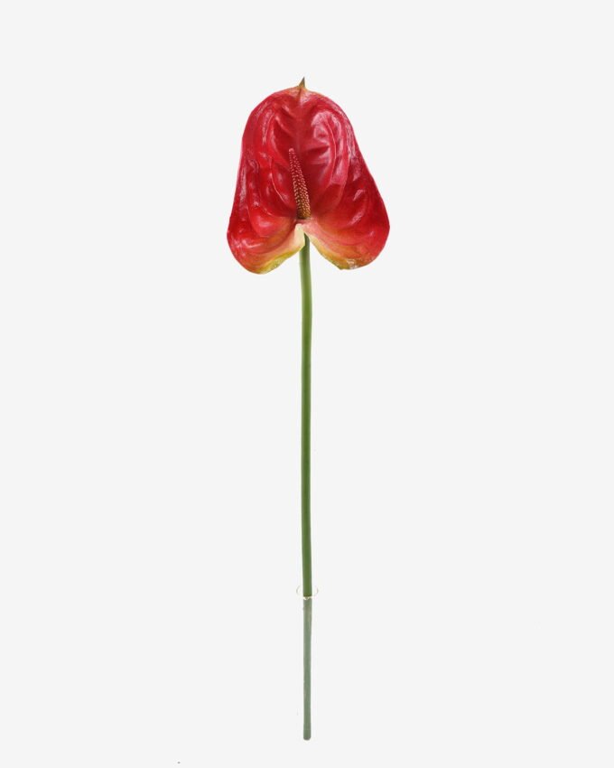 Artificial Flower 12*60cm Flamingo flower single stem GS-50525052 2025Oct YeahFlower is one of Chinese leading OEM manufacturers and exporters , supplying the silk flowers, wholesale artificial trees