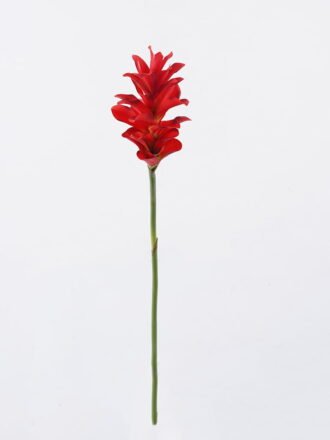 Artificial Flower 11*11*78cm Hedychium Koenig  single stem GS-50525009-Y1 2025Oct 3,000+ sqm showroom with thousands of artificial flowers, plants & trees ready for global sourcing.