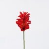 Artificial Flower Hedychium Koenig single stem GS-50525009-R1_4 Artificial Flower 11*11*78cm Hedychium Koenig single stem GS-50525009-R1 2025Oct YeahFlower is one of Chinese leading OEM manufacturers and exporters , supplying the silk flowers, wholesale artificial trees