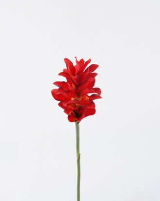 Artificial Flower 11*11*78cm Hedychium Koenig single stem GS-50525009-R1 2025Oct YeahFlower is one of Chinese leading OEM manufacturers and exporters , supplying the silk flowers, wholesale artificial trees Artificial Flower 11*11*78cm Hedychium Koenig single stem GS-50525009-R1 2025Oct YeahFlower is one of Chinese leading OEM manufacturers and exporters , supplying the silk flowers, wholesale artificial trees