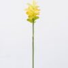 Artificial Flower Hedychium Koenig single stem GS-50525009-Y1 Artificial Flower 11*11*78cm Hedychium Koenig single stem GS-50525009-Y1 2025Oct YeahFlower is one of Chinese leading OEM manufacturers and exporters , supplying the silk flowers, wholesale artificial trees