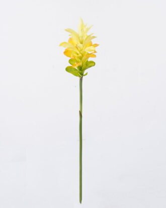 Artificial Flower 11*11*78cm Hedychium Koenig single stem GS-50525009-Y1 2025Oct YeahFlower is one of Chinese leading OEM manufacturers and exporters , supplying the silk flowers, wholesale artificial trees Artificial Flower 11*11*78cm Hedychium Koenig single stem GS-50525009-Y1 2025Oct YeahFlower is one of Chinese leading OEM manufacturers and exporters , supplying the silk flowers, wholesale artificial trees