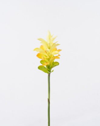 Artificial Flower 11*11*78cm Hedychium Koenig single stem GS-50525009-Y1 2025Oct YeahFlower is one of Chinese leading OEM manufacturers and exporters , supplying the silk flowers, wholesale artificial trees Artificial Flower 11*11*78cm Hedychium Koenig single stem GS-50525009-Y1 2025Oct YeahFlower is one of Chinese leading OEM manufacturers and exporters , supplying the silk flowers, wholesale artificial trees