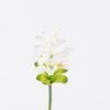 Artificial Flower Hedychium Koenig single stem GS-50525009_2 Artificial Flower 11*11*78cm Hedychium Koenig single stem GS-50525009 2025Oct YeahFlower is one of Chinese leading OEM manufacturers and exporters , supplying the silk flowers, wholesale artificial trees
