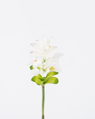 Artificial Flower 11*11*78cm Hedychium Koenig single stem GS-50525009 2025Oct YeahFlower is one of Chinese leading OEM manufacturers and exporters , supplying the silk flowers, wholesale artificial trees Artificial Flower 11*11*78cm Hedychium Koenig single stem GS-50525009 2025Oct YeahFlower is one of Chinese leading OEM manufacturers and exporters , supplying the silk flowers, wholesale artificial trees