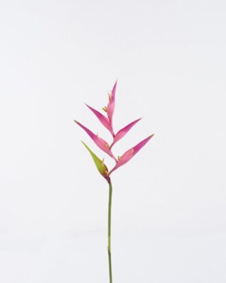 Artificial Flower 16*82cm Heliconia Linn  single stem GS-50525004-P1 2025Oct YeahFlower is one of Chinese leading OEM manufacturers and exporters , supplying the silk flowers, wholesale artificial trees