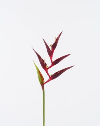 Artificial Flower 16*82cm Heliconia Linn  single stem GS-50525004-R1 2025Oct YeahFlower is one of Chinese leading OEM manufacturers and exporters , supplying the silk flowers, wholesale artificial trees