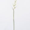 Artificial Flower 16*82cm Heliconia Linn  single stem GS-50525004-W1 2025Oct YeahFlower is one of Chinese leading OEM manufacturers and exporters , supplying the silk flowers, wholesale artificial trees
