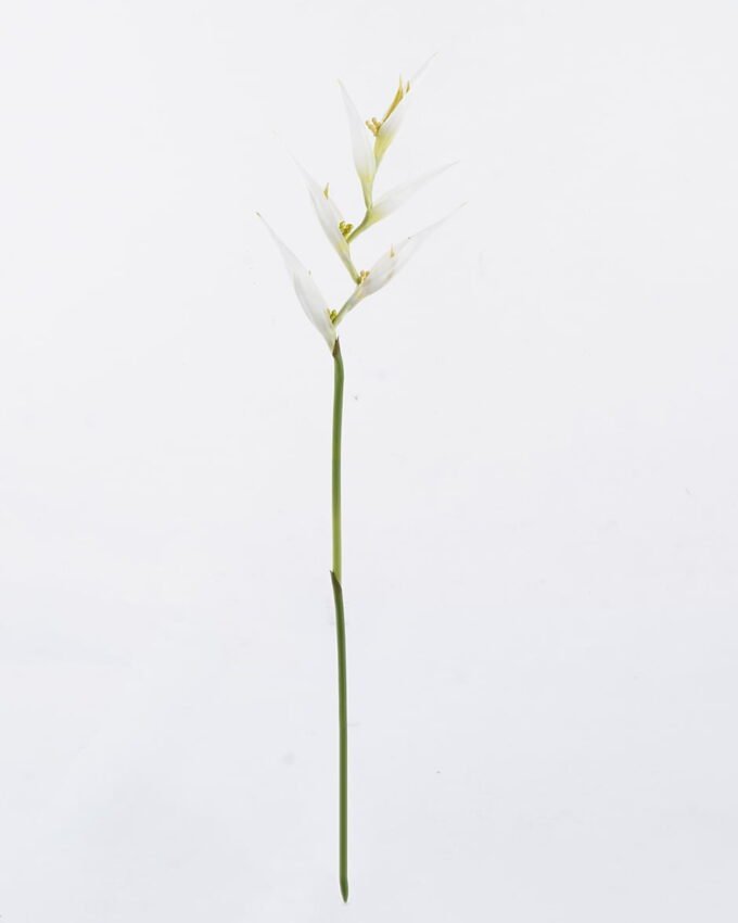 Artificial Flower 16*82cm Heliconia Linn  single stem GS-50525004-W1 2025Oct YeahFlower is one of Chinese leading OEM manufacturers and exporters , supplying the silk flowers, wholesale artificial trees