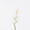 Artificial Flower 16*82cm Heliconia Linn  single stem GS-50525004-W1 2025Oct YeahFlower is one of Chinese leading OEM manufacturers and exporters , supplying the silk flowers, wholesale artificial trees
