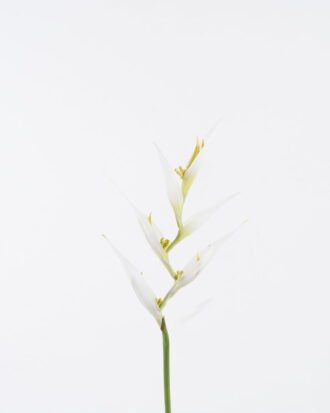 Artificial Flower 16*82cm Heliconia Linn  single stem GS-50525004-W1 2025Oct YeahFlower is one of Chinese leading OEM manufacturers and exporters , supplying the silk flowers, wholesale artificial trees