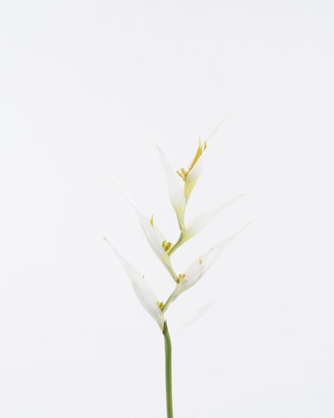 Artificial Flower 16*82cm Heliconia Linn  single stem GS-50525004-W1 2025Oct YeahFlower is one of Chinese leading OEM manufacturers and exporters , supplying the silk flowers, wholesale artificial trees