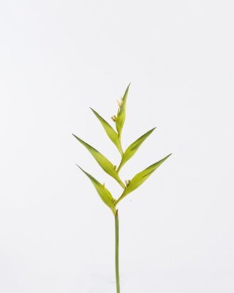 Artificial Flower 16*82cm Heliconia Linn  single stem GS-50525004 2025Oct YeahFlower is one of Chinese leading OEM manufacturers and exporters , supplying the silk flowers, wholesale artificial trees