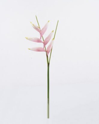 Artificial Flower 19*72cm Heliconia latispatha Benth single stem GS-50525010-P1 2025Oct YeahFlower is one of Chinese leading OEM manufacturers and exporters , supplying the silk flowers, wholesale artificial trees