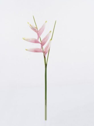 Artificial Flower 19*72cm Heliconia latispatha Benth single stem GS-50525010-R2 2025Oct 3,000+ sqm showroom with thousands of artificial flowers, plants & trees ready for global sourcing.