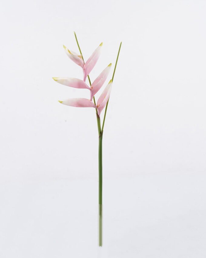 Artificial Flower 19*72cm Heliconia latispatha Benth single stem GS-50525010-P1 2025Oct YeahFlower is one of Chinese leading OEM manufacturers and exporters , supplying the silk flowers, wholesale artificial trees