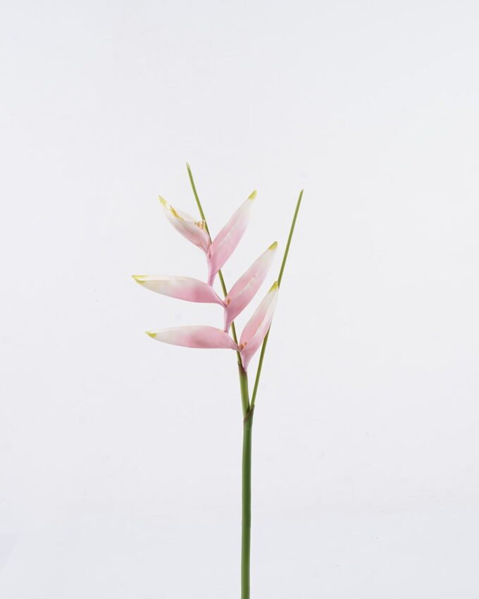Artificial Flower 19*72cm Heliconia latispatha Benth single stem GS-50525010-P1 2025Oct YeahFlower is one of Chinese leading OEM manufacturers and exporters , supplying the silk flowers, wholesale artificial trees