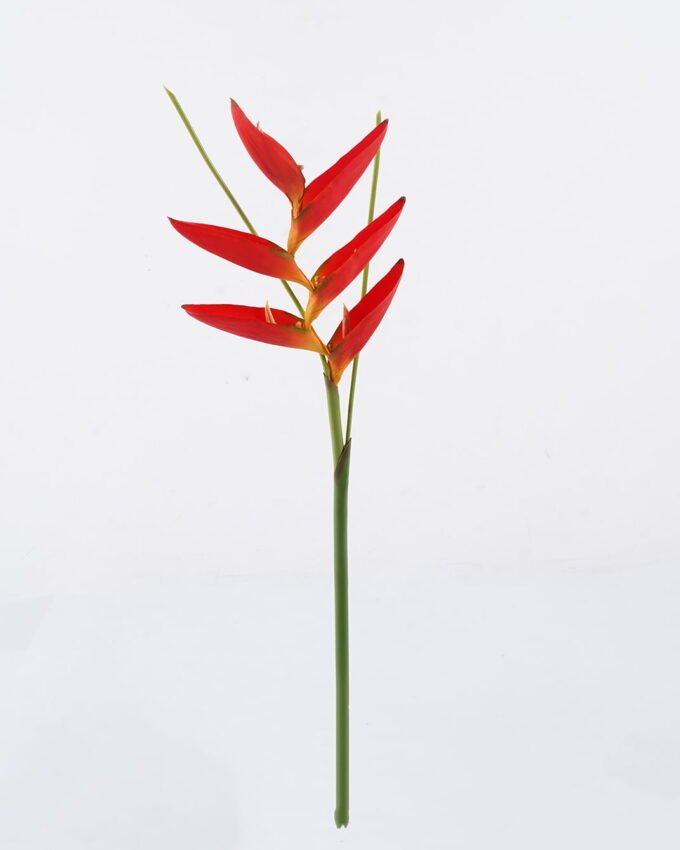 Artificial Flower 19*72cm Heliconia latispatha Benth single stem GS-50525010-R2 2025Oct YeahFlower is one of Chinese leading OEM manufacturers and exporters , supplying the silk flowers, wholesale artificial trees
