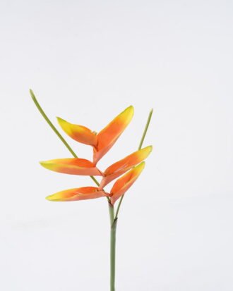 Artificial Flower 19*72cm Heliconia latispatha Benth single stem GS-50525010 2025Oct YeahFlower is one of Chinese leading OEM manufacturers and exporters , supplying the silk flowers, wholesale artificial trees