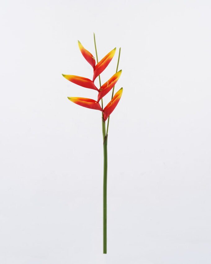Artificial Flower 19*72cm Heliconia latispatha Benth single stem GS-50525010 2025Oct YeahFlower is one of Chinese leading OEM manufacturers and exporters , supplying the silk flowers, wholesale artificial trees