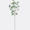 Artificial Flower Leaf of elm tree 17 single stem GS-77525013_1 Artificial Flower 30*30*85cm Leaf of elm tree *17 single stem GS-77525013 2025Oct YeahFlower is one of Chinese leading OEM manufacturers and exporters , supplying the silk flowers, wholesale artificial trees