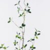 Artificial Flower Leaf of elm tree 27 single stem GS-77525012_4 Artificial Flower 32*32*120cm Leaf of elm tree *27 single stem GS-77525012 2025Oct YeahFlower is one of Chinese leading OEM manufacturers and exporters , supplying the silk flowers, wholesale artificial trees