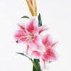 Artificial Flower 25*25*75cm Lily  *3 single stem GS-64925010-RST-P1 2025Oct YeahFlower is one of Chinese leading OEM manufacturers and exporters , supplying the silk flowers, wholesale artificial trees
