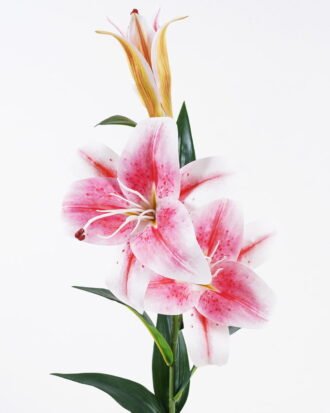 Artificial Flower 25*25*75cm Lily *3 single stem GS-64925010-RST-P1 2025Oct YeahFlower is one of Chinese leading OEM manufacturers and exporters , supplying the silk flowers, wholesale artificial trees Artificial Flower 25*25*75cm Lily *3 single stem GS-64925010-RST-P1 2025Oct YeahFlower is one of Chinese leading OEM manufacturers and exporters , supplying the silk flowers, wholesale artificial trees