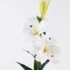 Artificial Flower 25*25*75cm Lily  *3 single stem GS-64925010-RST-W1 2025Oct YeahFlower is one of Chinese leading OEM manufacturers and exporters , supplying the silk flowers, wholesale artificial trees