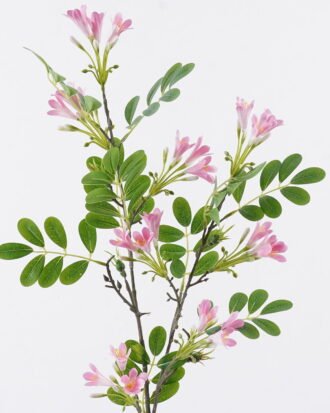 Artificial Flower 29*29*90cm Lotus flower *2 single stem GS-77525007-P1 2025Oct YeahFlower is one of Chinese leading OEM manufacturers and exporters , supplying the silk flowers, wholesale artificial trees Artificial Flower 29*29*90cm Lotus flower *2 single stem GS-77525007-P1 2025Oct YeahFlower is one of Chinese leading OEM manufacturers and exporters , supplying the silk flowers, wholesale artificial trees