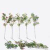 Artificial Flower Lotus flower 2 single stem GS-77525007_2 Artificial Flower 29*29*90cm Lotus flower *2 single stem GS-77525007 2025Oct YeahFlower is one of Chinese leading OEM manufacturers and exporters , supplying the silk flowers, wholesale artificial trees