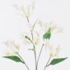 Artificial Flower Lotus flower 5 single stem GS-77525008-W1_4 Artificial Flower 16*16*86cm Lotus flower *5 single stem GS-77525008-W1 2025Oct YeahFlower is one of Chinese leading OEM manufacturers and exporters , supplying the silk flowers, wholesale artificial trees
