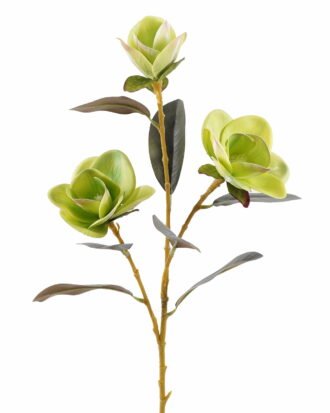 Artificial Flower 17*17*80cm Magnolia *3 single stem GS-64925018-G1 2025Oct YeahFlower is one of Chinese leading OEM manufacturers and exporters , supplying the silk flowers, wholesale artificial trees Artificial Flower 17*17*80cm Magnolia *3 single stem GS-64925018-G1 2025Oct YeahFlower is one of Chinese leading OEM manufacturers and exporters , supplying the silk flowers, wholesale artificial trees
