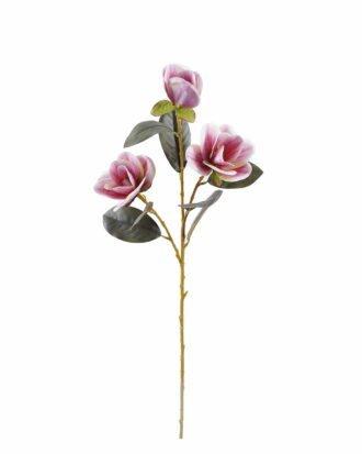 Artificial Flower 17*17*80cm Magnolia *3 single stem GS-64925018-P1 2025Oct YeahFlower is one of Chinese leading OEM manufacturers and exporters , supplying the silk flowers, wholesale artificial trees Artificial Flower 17*17*80cm Magnolia *3 single stem GS-64925018-P1 2025Oct YeahFlower is one of Chinese leading OEM manufacturers and exporters , supplying the silk flowers, wholesale artificial trees