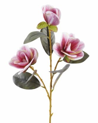 Artificial Flower 17*17*80cm Magnolia *3 single stem GS-64925018-P1 2025Oct YeahFlower is one of Chinese leading OEM manufacturers and exporters , supplying the silk flowers, wholesale artificial trees Artificial Flower 17*17*80cm Magnolia *3 single stem GS-64925018-P1 2025Oct YeahFlower is one of Chinese leading OEM manufacturers and exporters , supplying the silk flowers, wholesale artificial trees