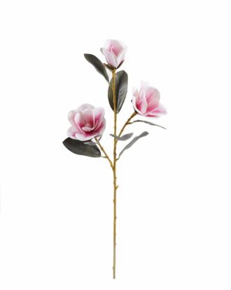 Artificial Flower 17*17*80cm Magnolia *3 single stem GS-64925018-P2 2025Oct YeahFlower is one of Chinese leading OEM manufacturers and exporters , supplying the silk flowers, wholesale artificial trees Artificial Flower 17*17*80cm Magnolia *3 single stem GS-64925018-P2 2025Oct YeahFlower is one of Chinese leading OEM manufacturers and exporters , supplying the silk flowers, wholesale artificial trees