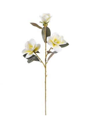 Artificial Flower 17*17*80cm Magnolia *3 single stem GS-64925018-W2 2025Oct YeahFlower is one of Chinese leading OEM manufacturers and exporters , supplying the silk flowers, wholesale artificial trees Artificial Flower 17*17*80cm Magnolia *3 single stem GS-64925018-W2 2025Oct YeahFlower is one of Chinese leading OEM manufacturers and exporters , supplying the silk flowers, wholesale artificial trees