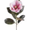 Artificial Flower Magnolia single stem GS-64925020-P2_4 Artificial Flower 14*14*63cm Magnolia single stem GS-64925020-P2 2025Oct YeahFlower is one of Chinese leading OEM manufacturers and exporters , supplying the silk flowers, wholesale artificial trees