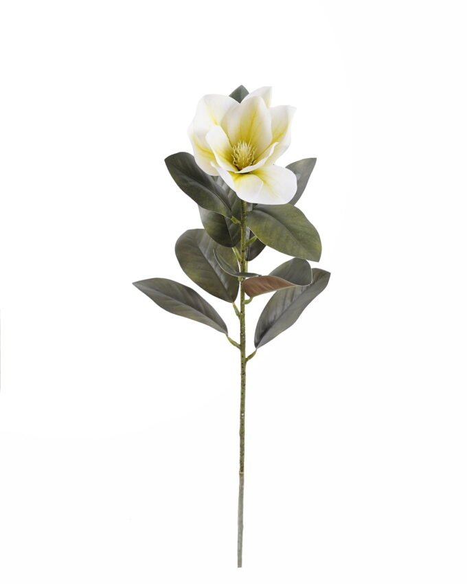 Artificial Flower Magnolia single stem GS-64925020_5 Artificial Flower 14*14*63cm Magnolia single stem GS-64925020 2025Oct YeahFlower is one of Chinese leading OEM manufacturers and exporters , supplying the silk flowers, wholesale artificial trees