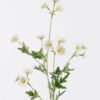 Artificial Flower 7*83CM Mum spray*14 GS-26220055-W1 2025SEP YeahFlower is one of Chinese leading OEM manufacturers and exporters , supplying the silk flowers, wholesale artificial trees
