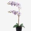 Artificial Flower 36*17*65cm Orchid in PP pot GS-03325041R-Z1 2025SEP YeahFlower is one of Chinese leading OEM manufacturers and exporters , supplying the silk flowers, wholesale artificial trees