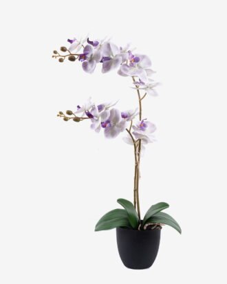Artificial Flower 36*17*65cm Orchid in PP pot GS-03325041R-Z1